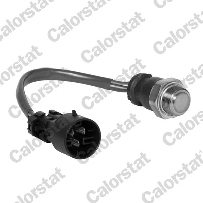 Temperature Switch, radiator fan